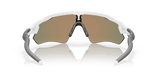 243007893.png