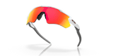 243007895.png