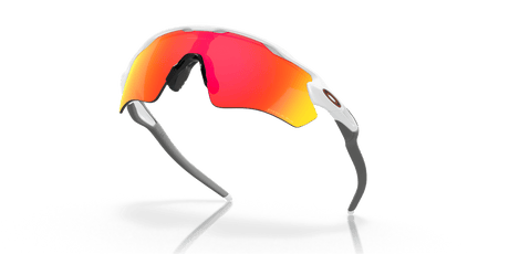 243007895.png
