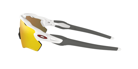 243007898.png