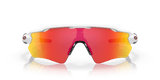 243007899.png