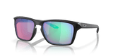 302970001.png