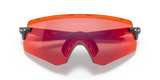 243011898.png