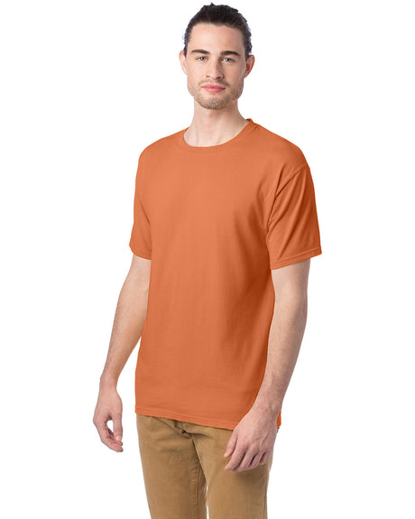 ComfortWash by Hanes Garment-Dyed T-Shirt Version 2 Mens Apparel Shirts & Tops
