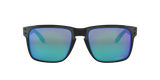 Oakley Holbrook XL Glasses-2