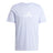 246113378.webp