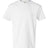 Hanes Youth Authentic T-Shirt Youth Apparel Shirts & Tops