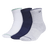 247323733.png