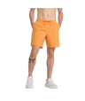 247735666.png