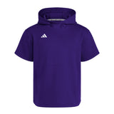 adidas Men's Dugout Short Sleeve Baseball Hoodie