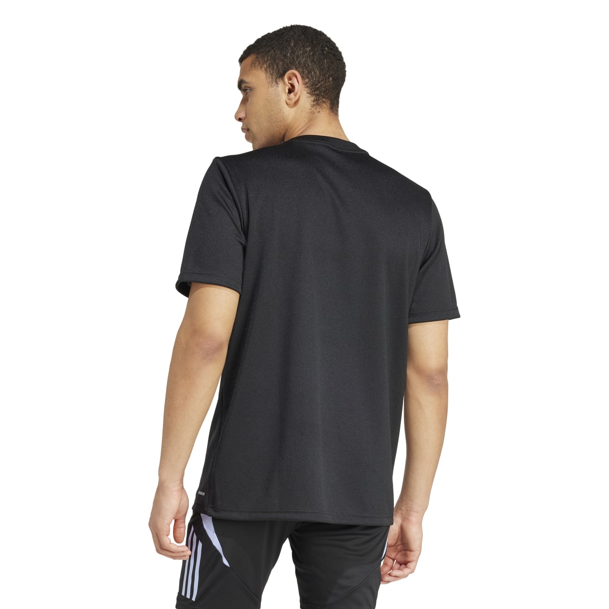 adidas Men's All Blacks Rugby Short Sleeve Jersey Mens Apparel Shirts & Tops
