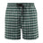 Men's Pennant Flannel Short Mens Apparel Shorts