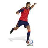 adidas Men's Spain 26 Home Shorts-4