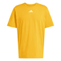 250207312.webp