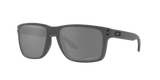 Oakley Holbrook XL Glasses-5