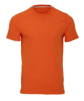256320105.png