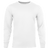 256331418.png