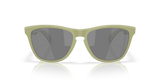 Oakley Frogskins Glasses-8