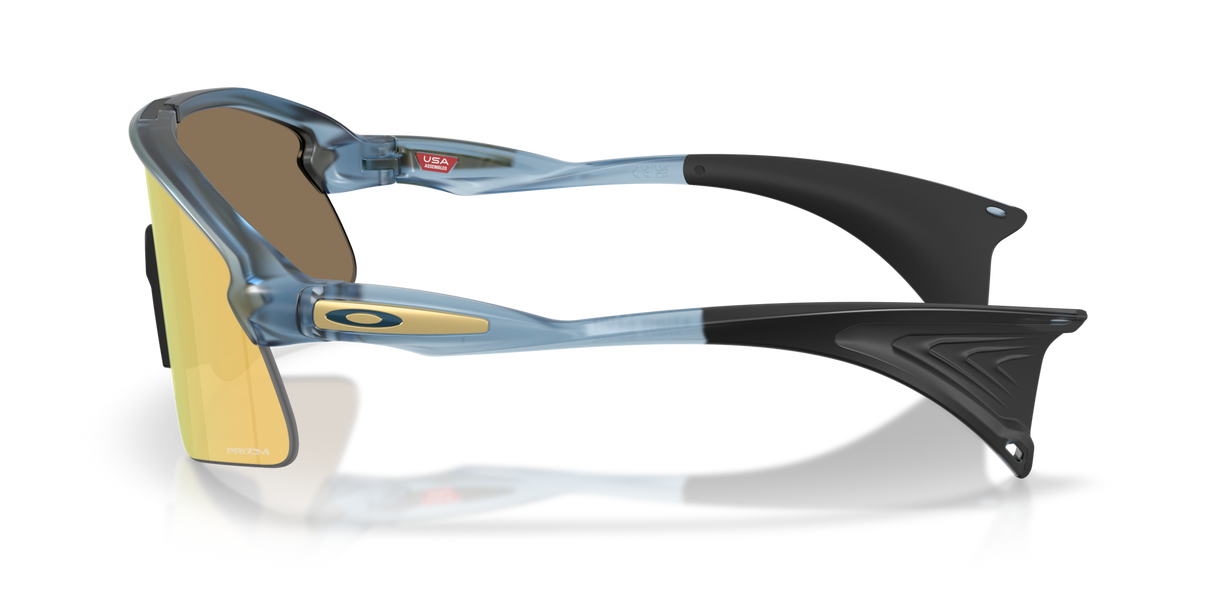 Oakley Stunt Devil Sunglasses-3