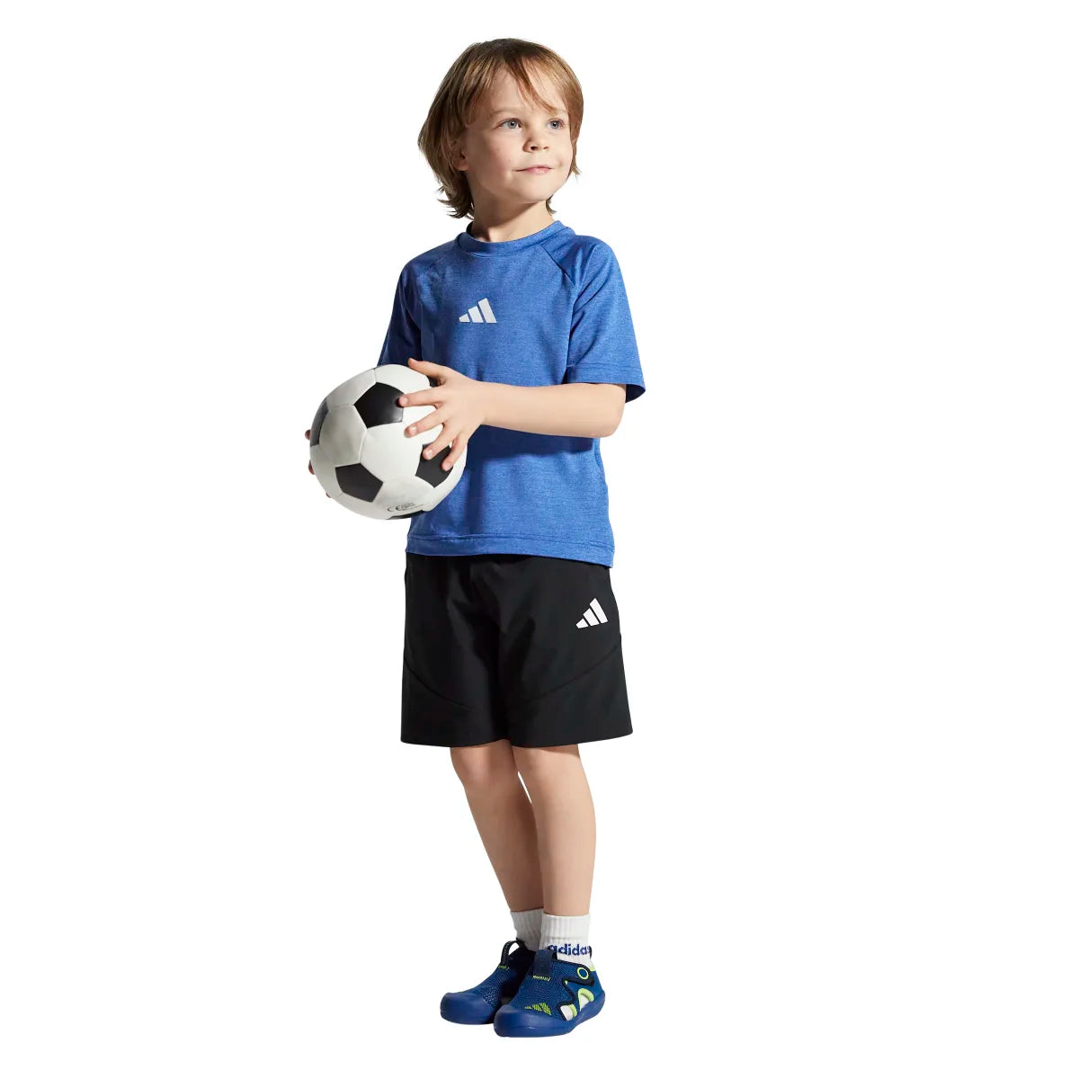 260882506.webp