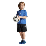 260882506.webp