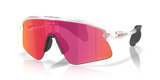 Oakley Stunt Devil Sunglasses-2