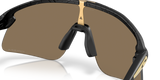 Oakley Stunt Devil S Sunglasses-7