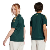 272668567.webp