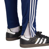 273120021.webp