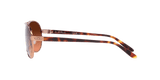 273147398.png