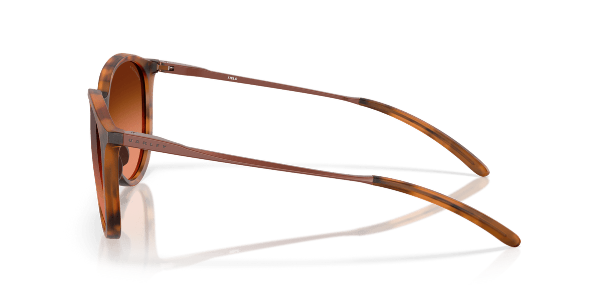 273148123.png