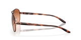 273148279.png