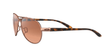273148284.png