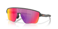 273148955.png