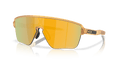 273148999.png