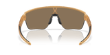 273149001.png