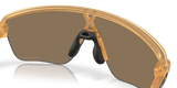 273149005.png