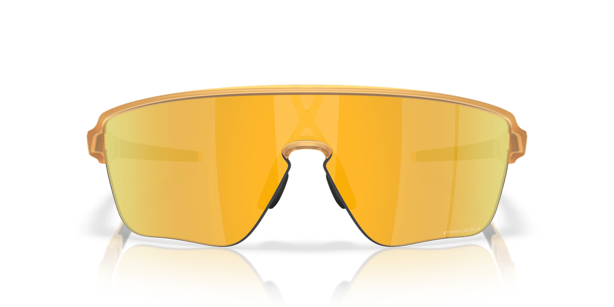 273149006.png