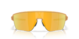 273149006.png