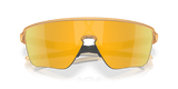 273149007.png