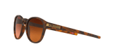 273171669.png