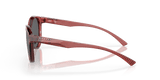 273180974.png