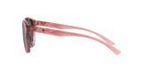 273180981.png