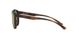 273181129.png