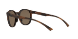 273181135.png