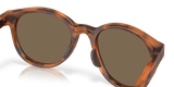 273181213.png