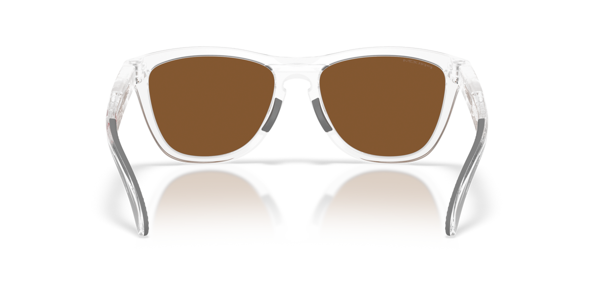 Oakley Frogskins Range XL Glasses-4