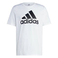 280551952.webp