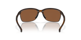 283368817.png