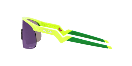 283370245.png